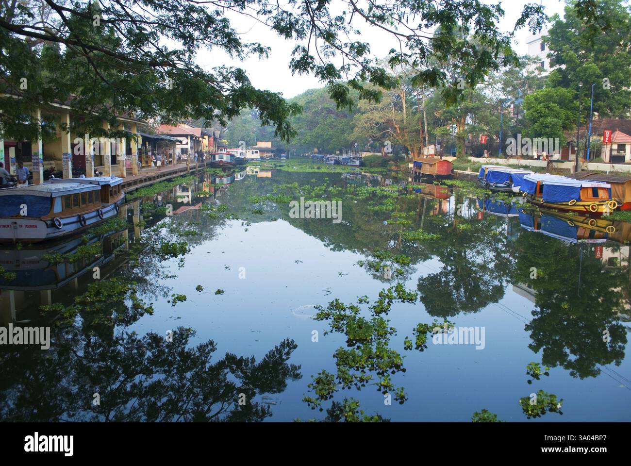 Maisons et hôtels sur la rivière ashtamudi, Alleppey, Kerala, Inde, Asie Banque D'Images