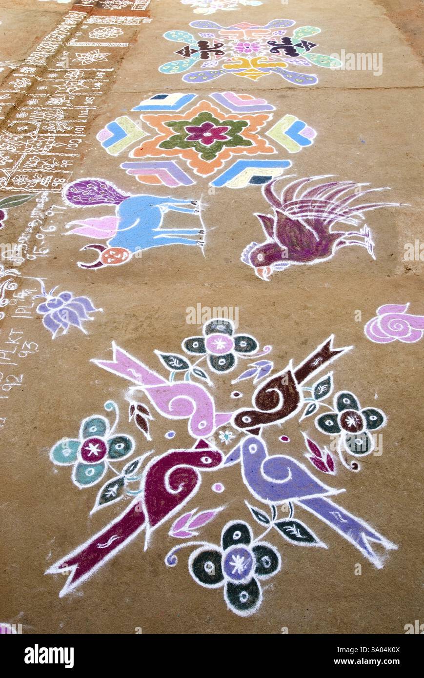 Kolam ou rangoli pendant le festival Pongal au Tamil Nadu, Inde, Asie Banque D'Images