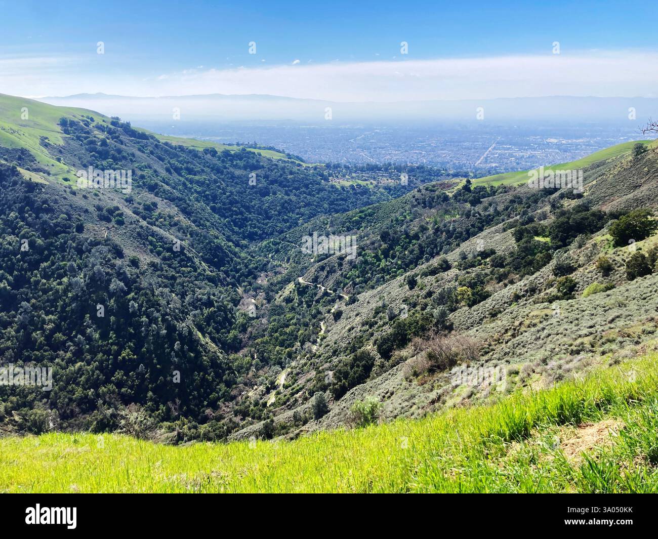 Une végétation dense recouvre les pentes d'Alum Rock Park, offrant une vue panoramique sur l'étendue urbaine de San José bordée par des chaînes de montagnes lointaines. Banque D'Images