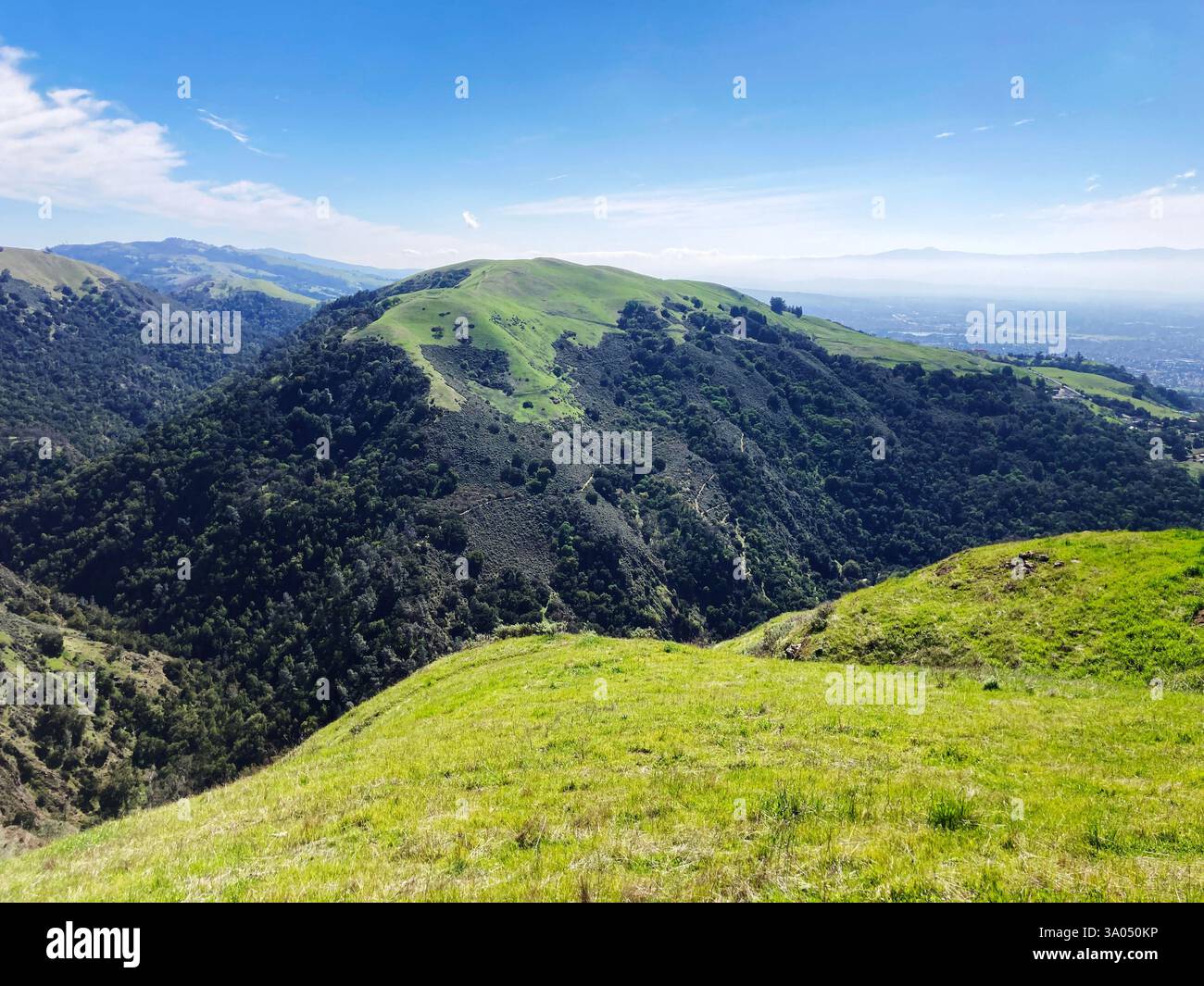 Une vue panoramique sur le terrain accidenté d'Alum Rock Park met en valeur les pentes couvertes d'herbe vibrantes avec des sentiers de randonnée, des vallées ombragées et la ville lointaine de San Jos Banque D'Images