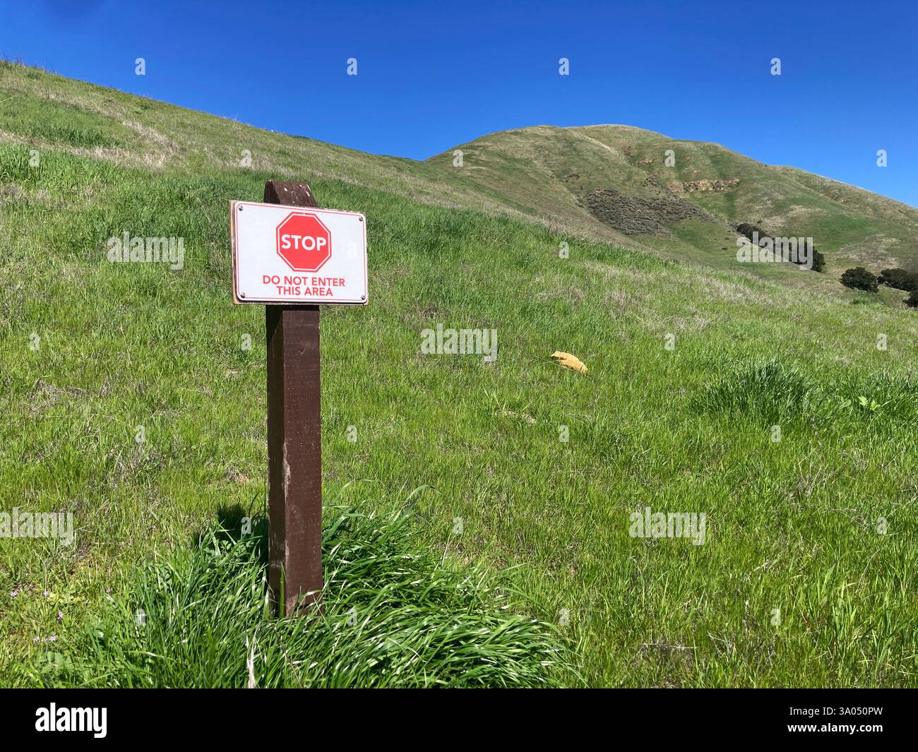 ARRÊTEZ, ne pas entrer dans cette zone panneau d'avertissement se trouve dans un paysage herbeux à flanc de colline. Banque D'Images