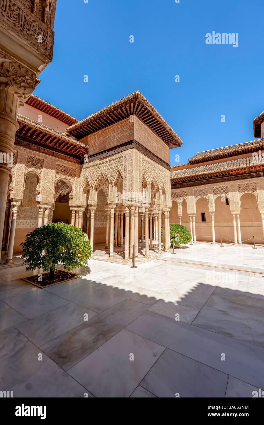 Beauté intemporelle de la Cour des Lions des Alhambras présentant du stuc nasride orné et des colonnes de marbre dans le chef-d'œuvre mauresque emblématique d'Andalousie Banque D'Images