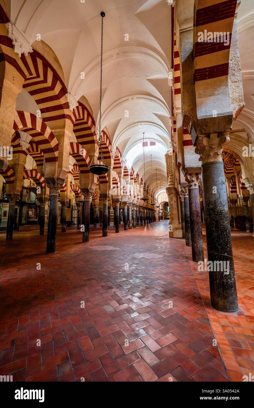 Grande mosquée de Córdoba du VIIIe siècle avec des arches mauresques, héritage omeyyade, et une conversion chrétienne du XIIIe siècle en Andalousie espagnole Banque D'Images