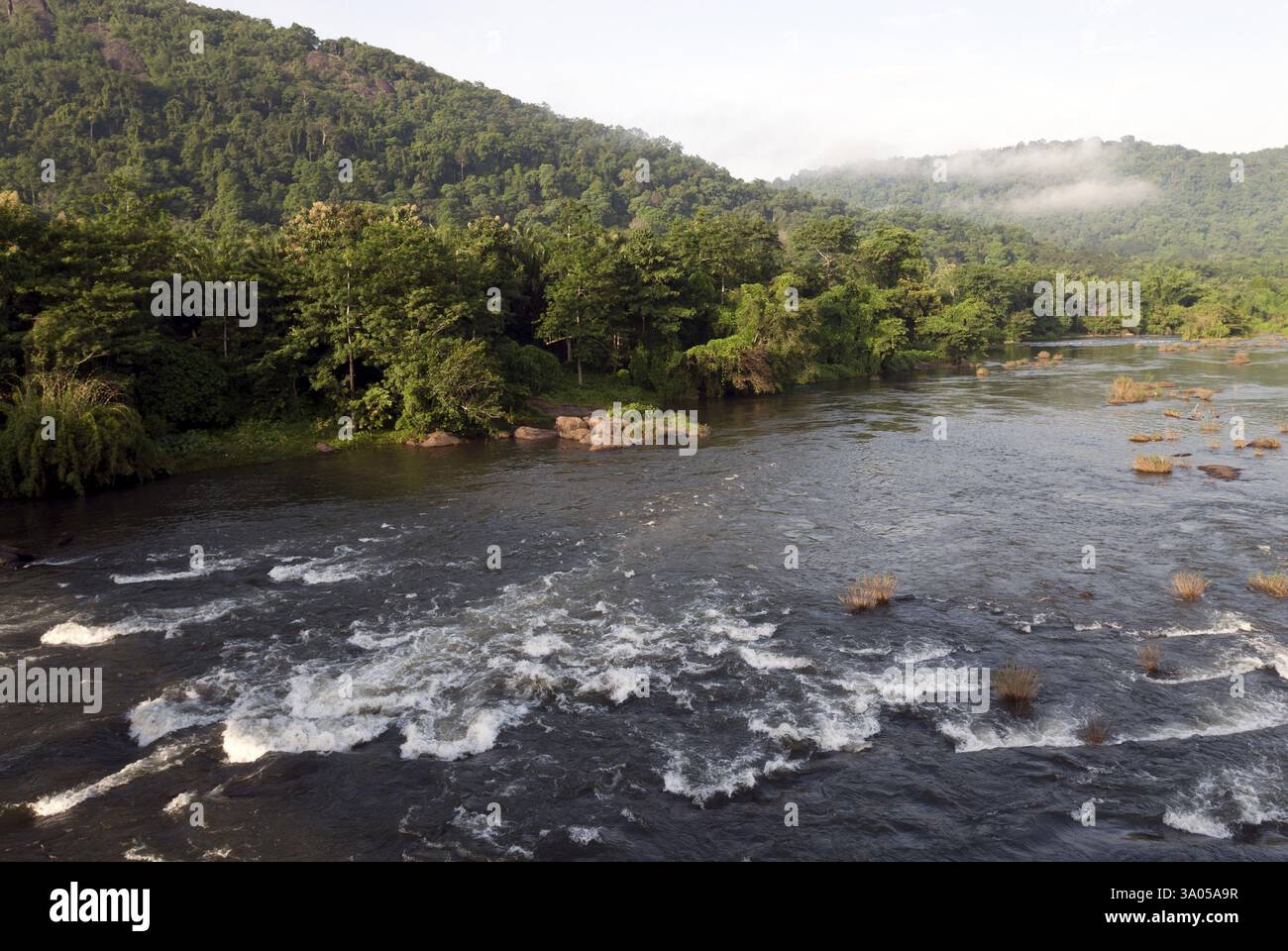 Chalakkudi Chalakudy rivière coulant dans la forêt vazhachal, Kerala, Inde, Asie Banque D'Images
