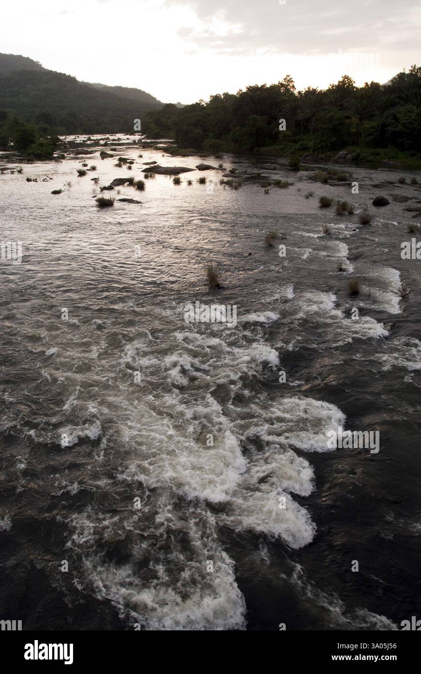 Chalakkudi Chalakudy River, Kerala, Inde, Asie Banque D'Images