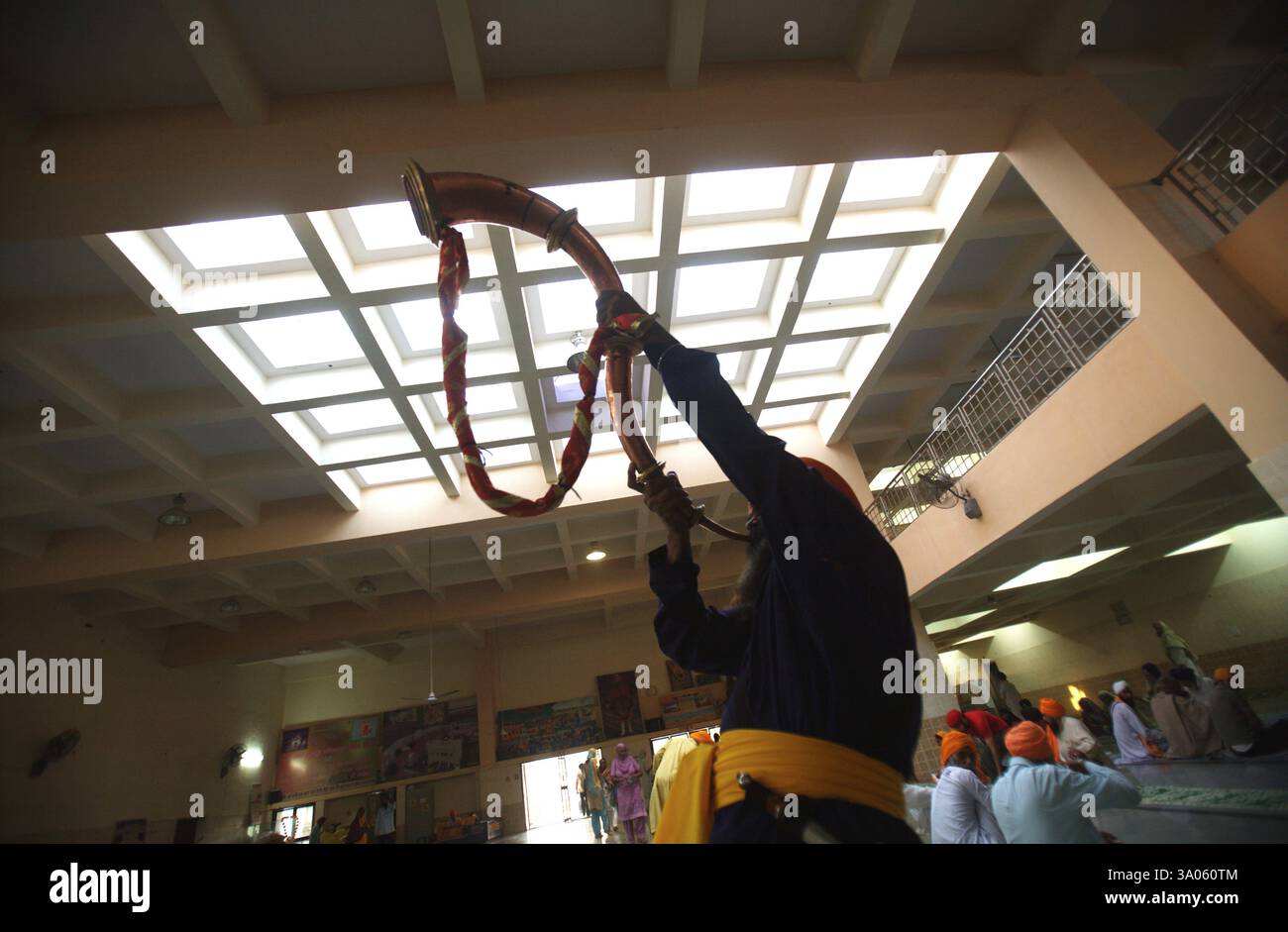 Nihang Sikh guerrier karsevaks Sachkhand Saheb Gurudwara soufflant trompette, consécration perpétuelle Sikh Guru Granth Nanded Banque D'Images