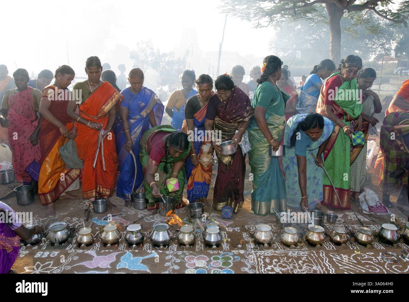 Femmes célébrant le festival de Pongal au Tamil Nadu, Inde, Asie Banque D'Images
