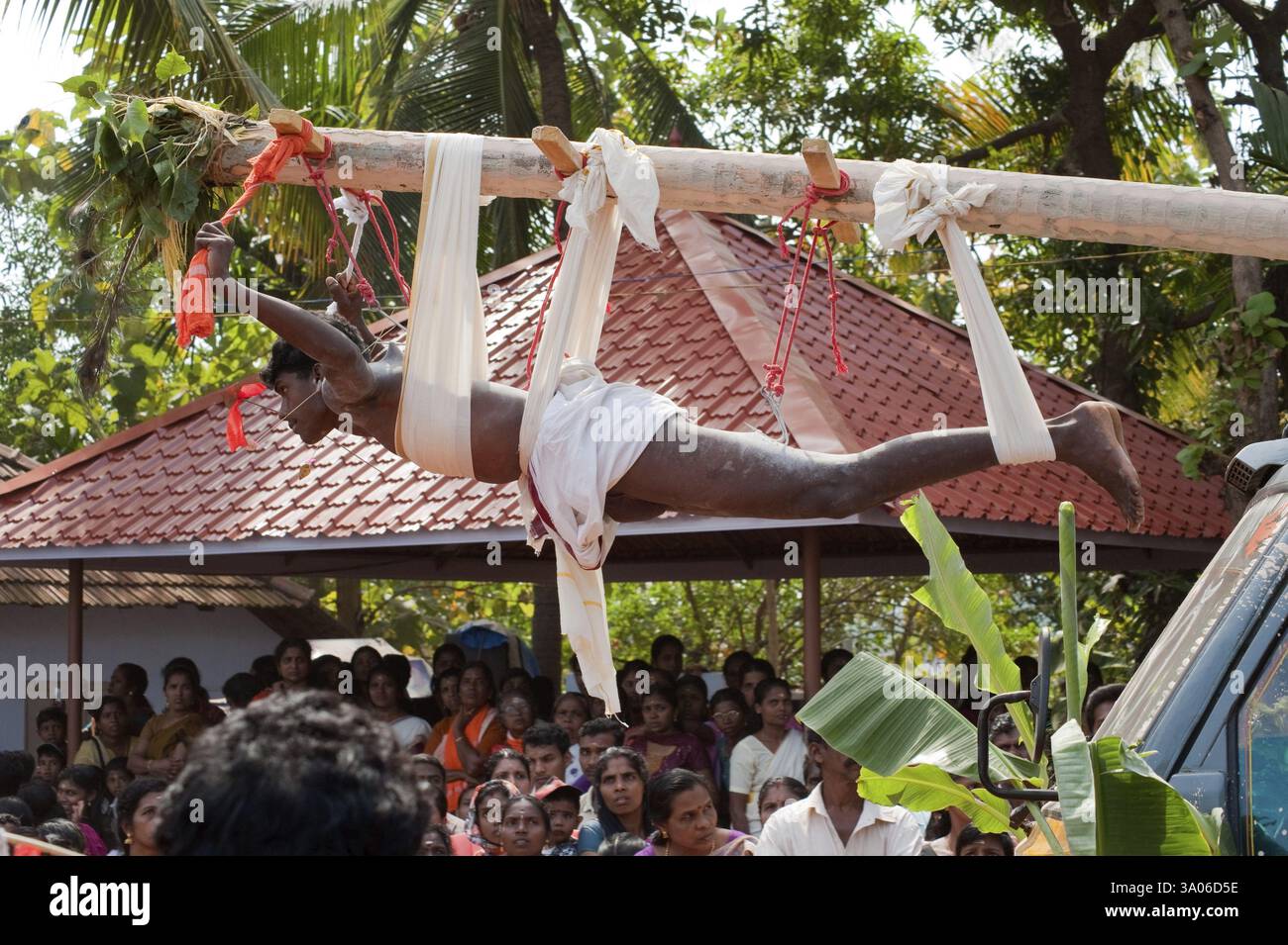Homme percé suspendu sur une tige en bois, festival de Thaipusam, Kerala, Inde NOMR Banque D'Images