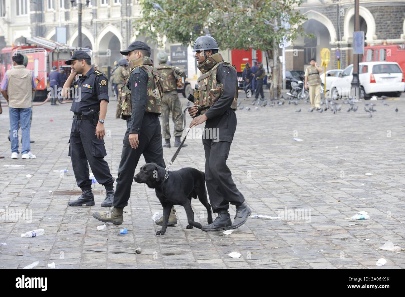 Garde nationale de sécurité NSG commandos Sniffer chien Taj Mahal hôtel, attaque terroriste Deccan 26 novembre 2008 à Bombay Banque D'Images
