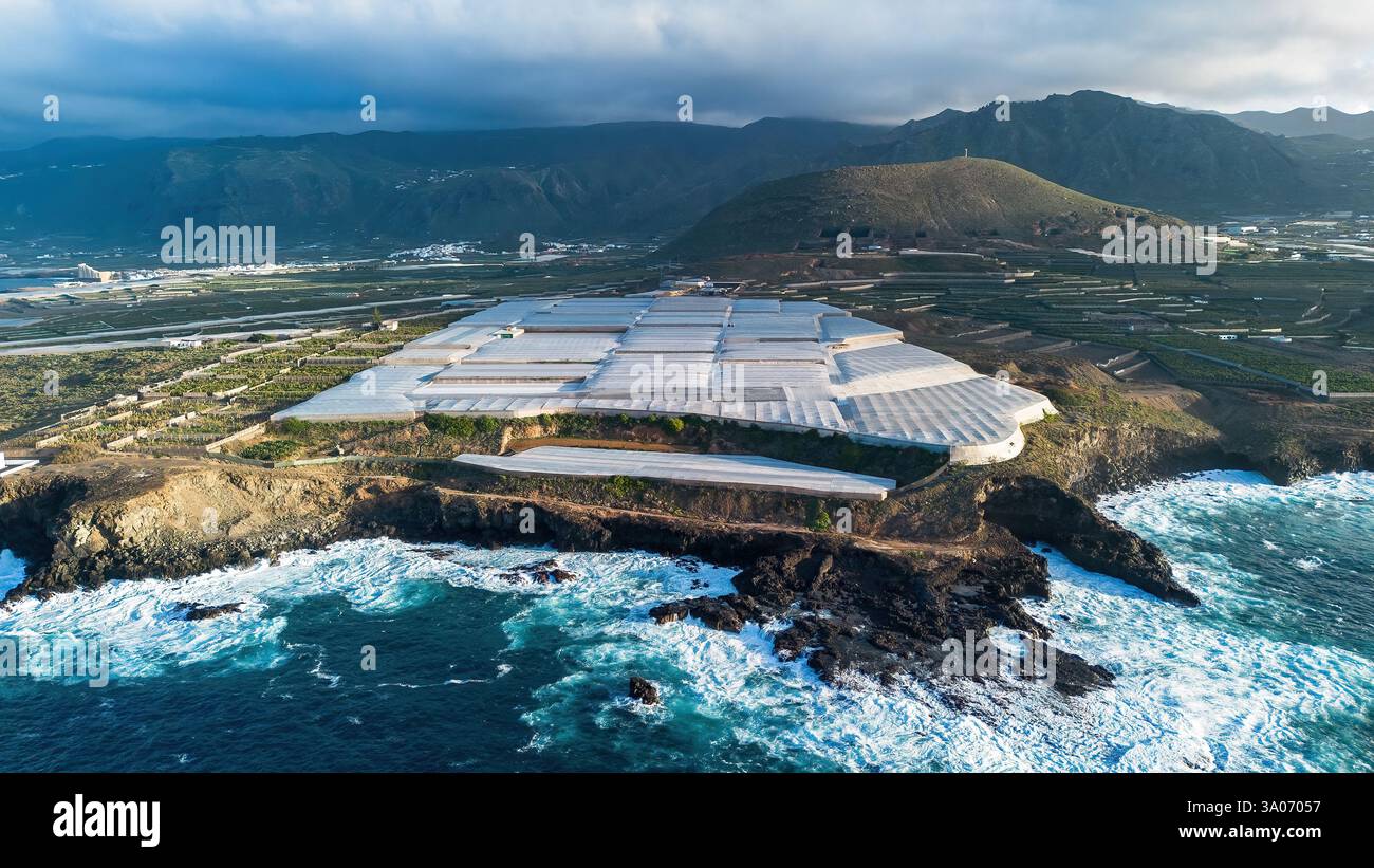 Serre en plastique dans une plantation de bananes à Buenavista del Norte sur la côte nord de Tenerife dans les îles Canaries, Espagne Banque D'Images