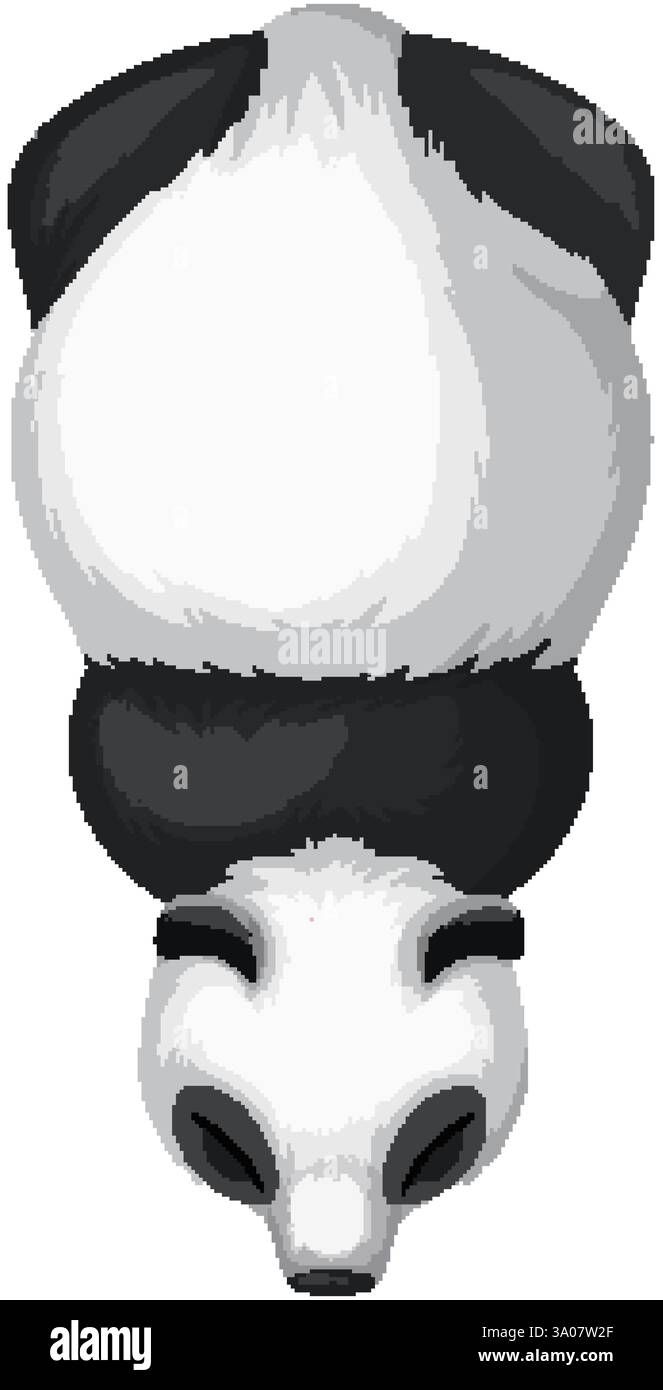 Illustration d'un panda de la perspective ci-dessus Illustration de Vecteur