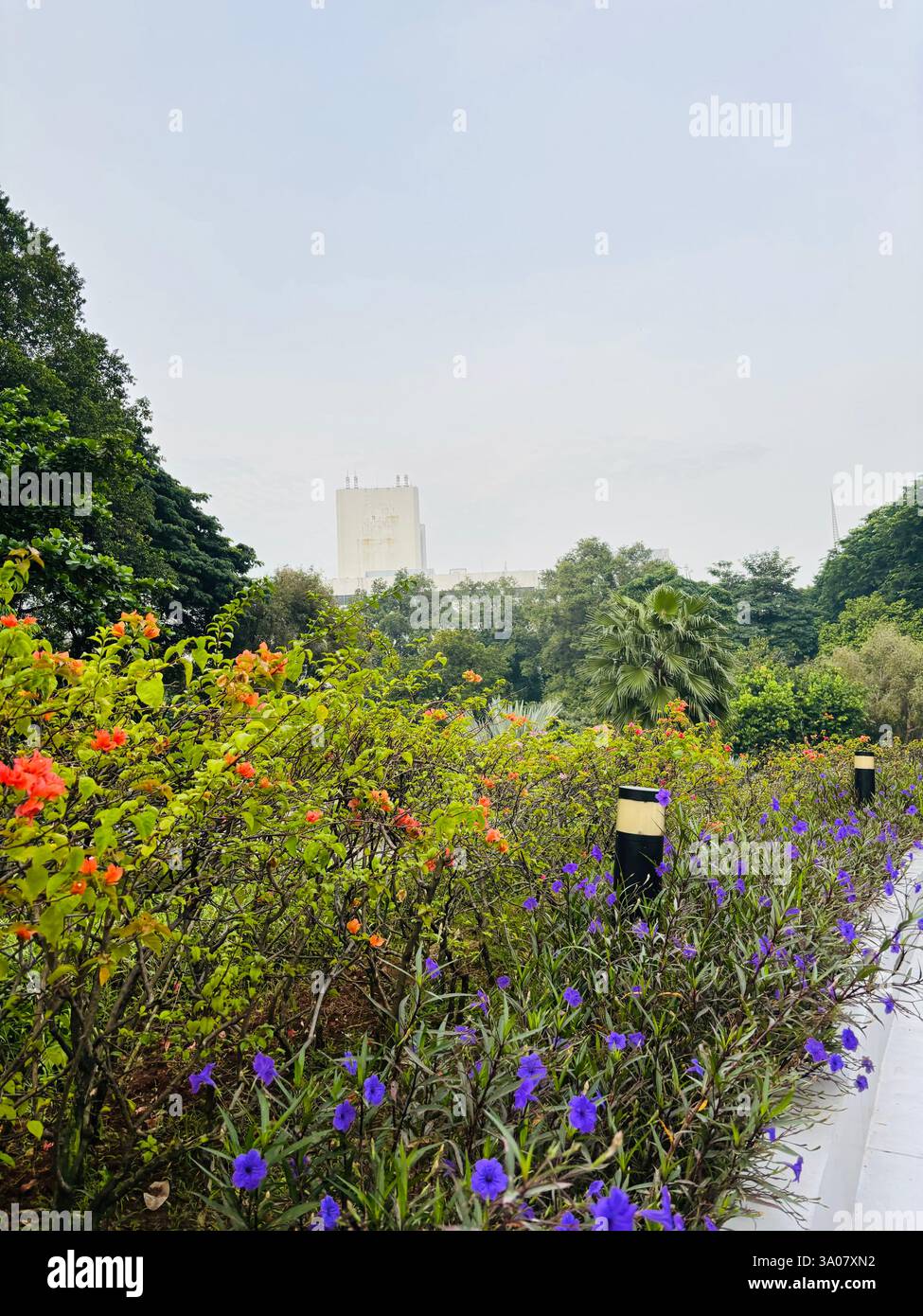 Un jardin serein rempli de fleurs vibrantes, offrant un contraste rafraîchissant avec l'horizon urbain en arrière-plan. Un mélange parfait de nature et de ville Banque D'Images