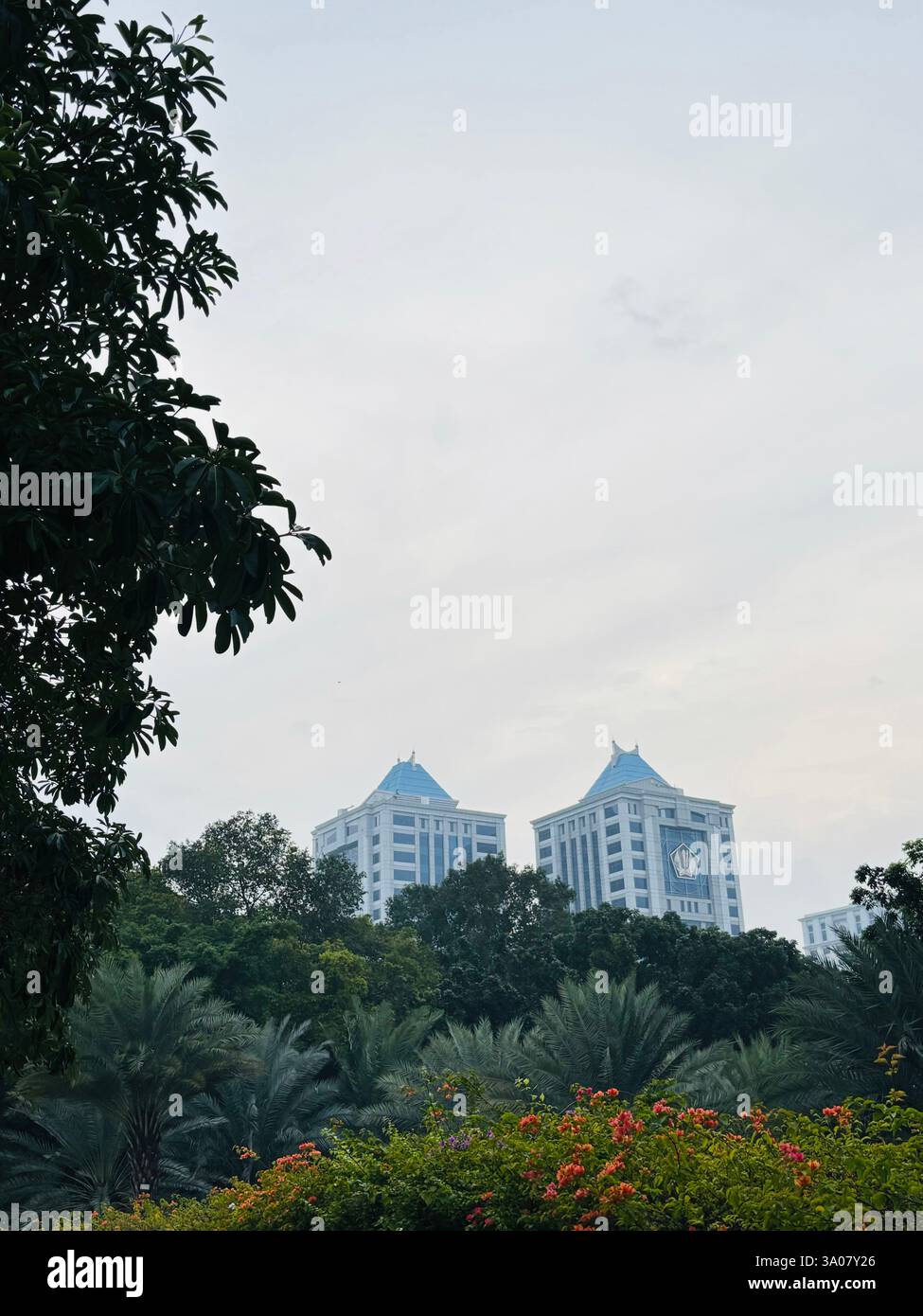 Au milieu de la ville animée de Jakarta, ce parc verdoyant offre une escapade rafraîchissante - Image de stock capturée avec un smartphone