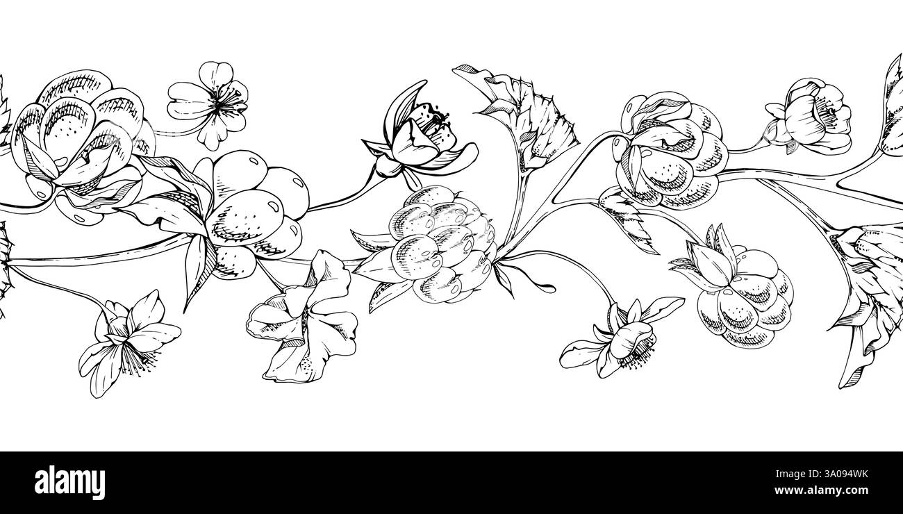Framboise cloudberry avec des fleurs blanches, feuilles d'automne dessinées à la main encre vectorielle, ligne mûre baie de forêt sur les tiges. Illustration de guirlande de bannière sans couture Illustration de Vecteur