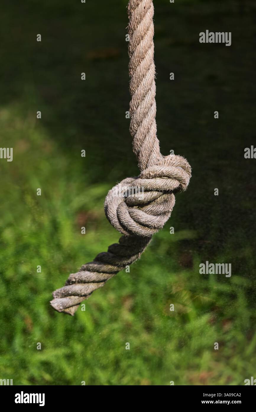 Corde épaisse suspendue avec un simple nœud pendant au-dessus de l'herbe. Banque D'Images