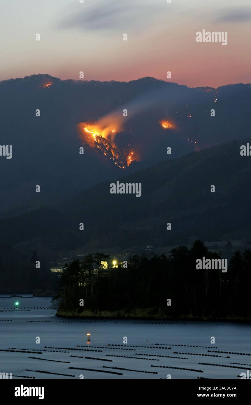 Un incendie de forêt continue à Ofunato dans la préfecture d'Iwate, au nord-est du Japon, tôt le matin du 1er mars 2025. (Kyodo)==photo Kyodo via Credit : Newscom/Alamy Live News Banque D'Images