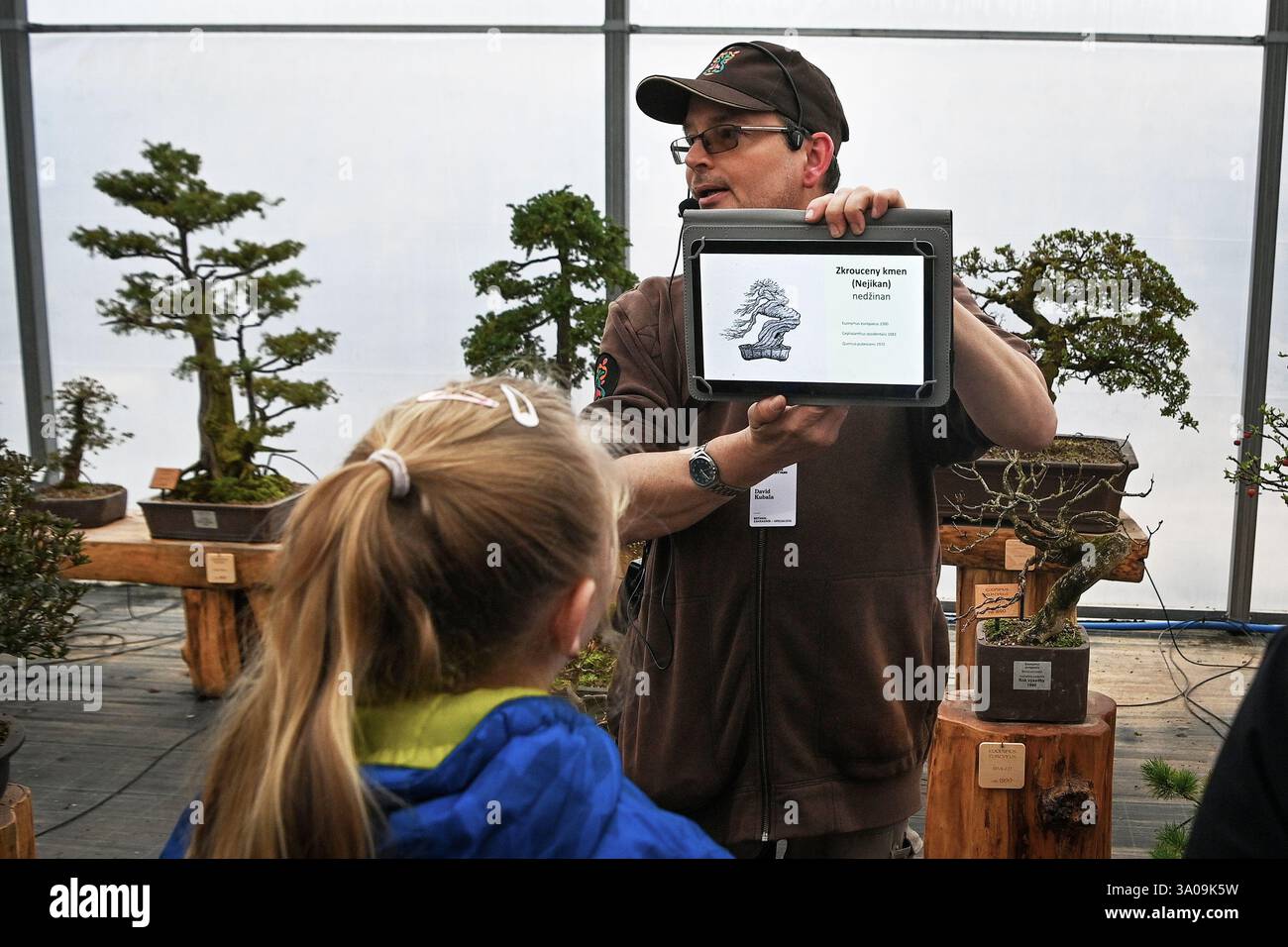 Ostrava, République tchèque. 01 mars 2025. Visite guidée axée sur le bonsaï dans le jardin zoologique et le parc botanique d'Ostrava, République tchèque, le 1er mars 2025. En japonais, bonsaï signifie « arbre dans un pot ». C'est une méthode spéciale de façonner et de couper les arbres cultivés dans des récipients en céramique. Environ 20 espèces d'arbres différents peuvent être trouvées ici. La plupart des arbres ont environ 40-50 ans, mais il y a aussi des spécimens dont l'âge est estimé à 90-100 ans. Crédit : Jaroslav Ozana/CTK photo/Alamy Live News Banque D'Images