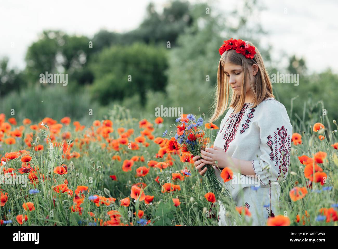 Journée de la Constitution ukrainienne. 24 août. Fête patriotique. portrait extérieur. Fille en broderie traditionnelle collectant des coquelicots dans le champ. Blooming Poppi Banque D'Images