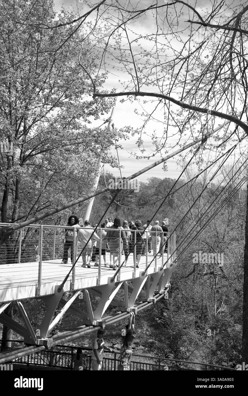Les visiteurs se promènent le long de l'emblématique Liberty Bridge du parc Reedy Falls à Greenville, Caroline du Sud, et admirent les vues panoramiques. ÉTATS-UNIS Banque D'Images