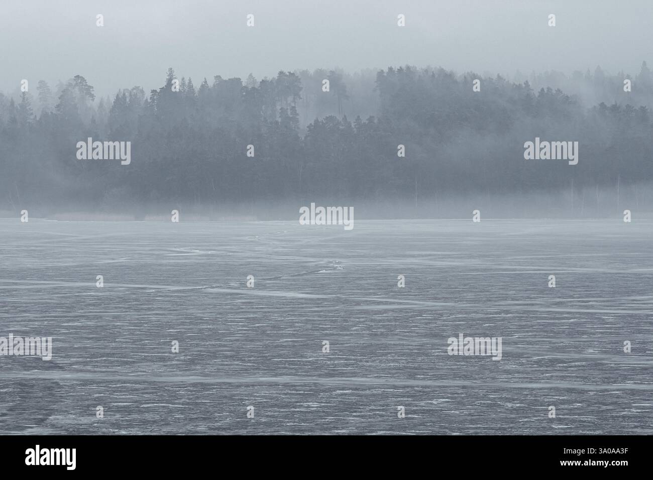 Magnifique paysage de début de printemps avec lac gelé et forêt brumeuse fumante sur le fond Banque D'Images