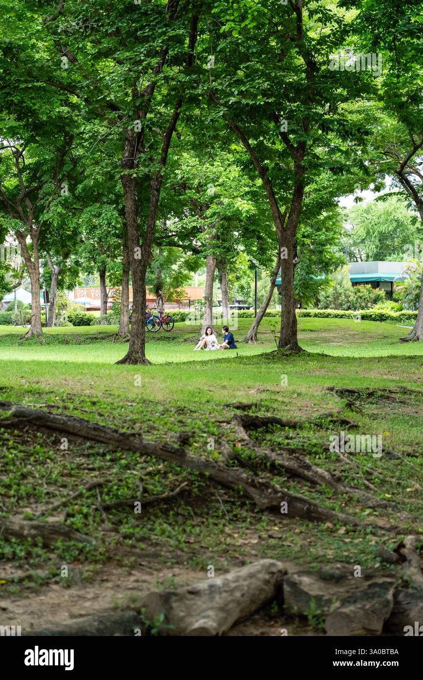 Parc serein avec des gens qui se détendent au milieu des arbres verts luxuriants et de l'herbe Banque D'Images
