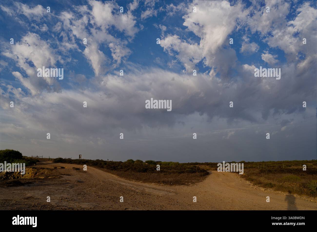 Une route poussiéreuse en forme de y traverse la beauté brute de Baixo Alentejo Banque D'Images