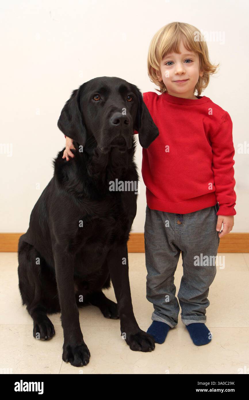 Tout-petit avec chien labrador retriever noir Banque D'Images
