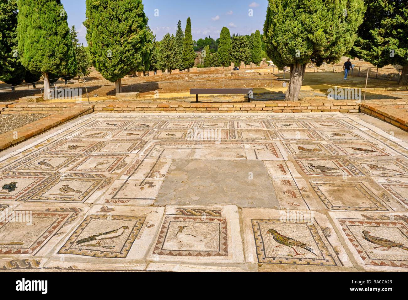 Mosaïques dans la Maison des oiseaux. Italica, une ville romaine près de Séville. Andalousie, Espagne Banque D'Images