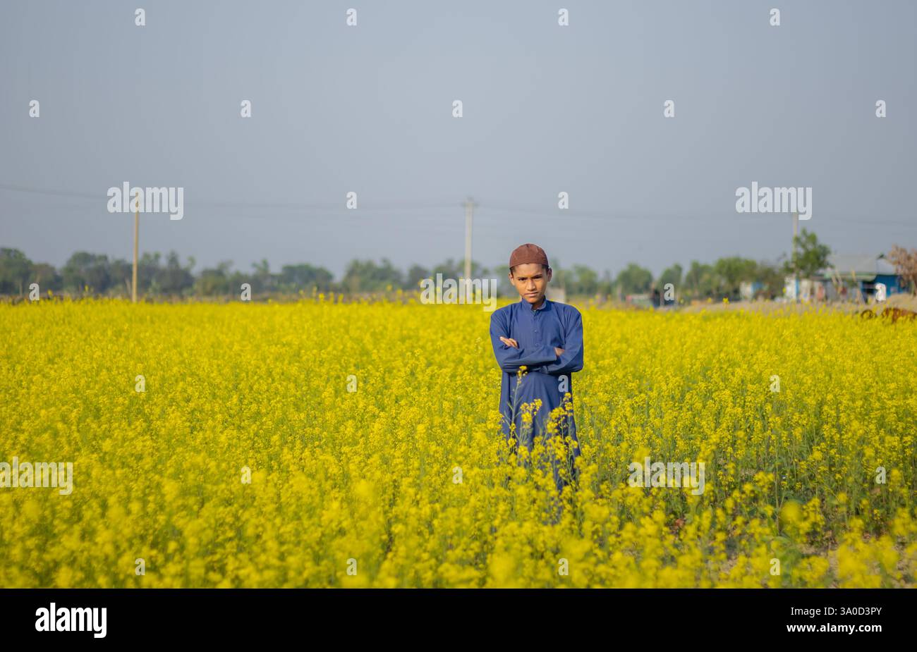 Amis jouant sur le terrain Banque D'Images