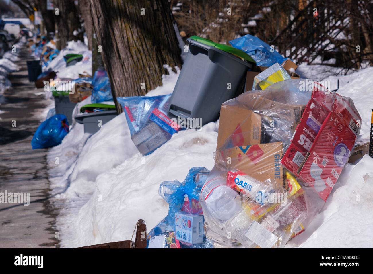 Montréal, Canada. 3 mars 2025 ; les sacs de recyclage envahissent les rues puisque la collecte des ordures est suspendue depuis la dernière tempête hivernale Banque D'Images
