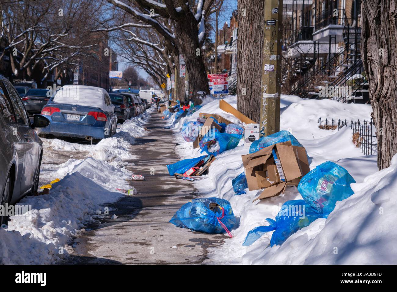 Montréal, Canada. 3 mars 2025 ; les sacs de recyclage envahissent les rues puisque la collecte des ordures est suspendue depuis la dernière tempête hivernale Banque D'Images