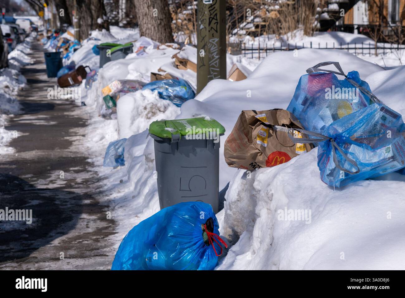 Montréal, Canada. 3 mars 2025 ; les sacs de recyclage envahissent les rues puisque la collecte des ordures est suspendue depuis la dernière tempête hivernale Banque D'Images