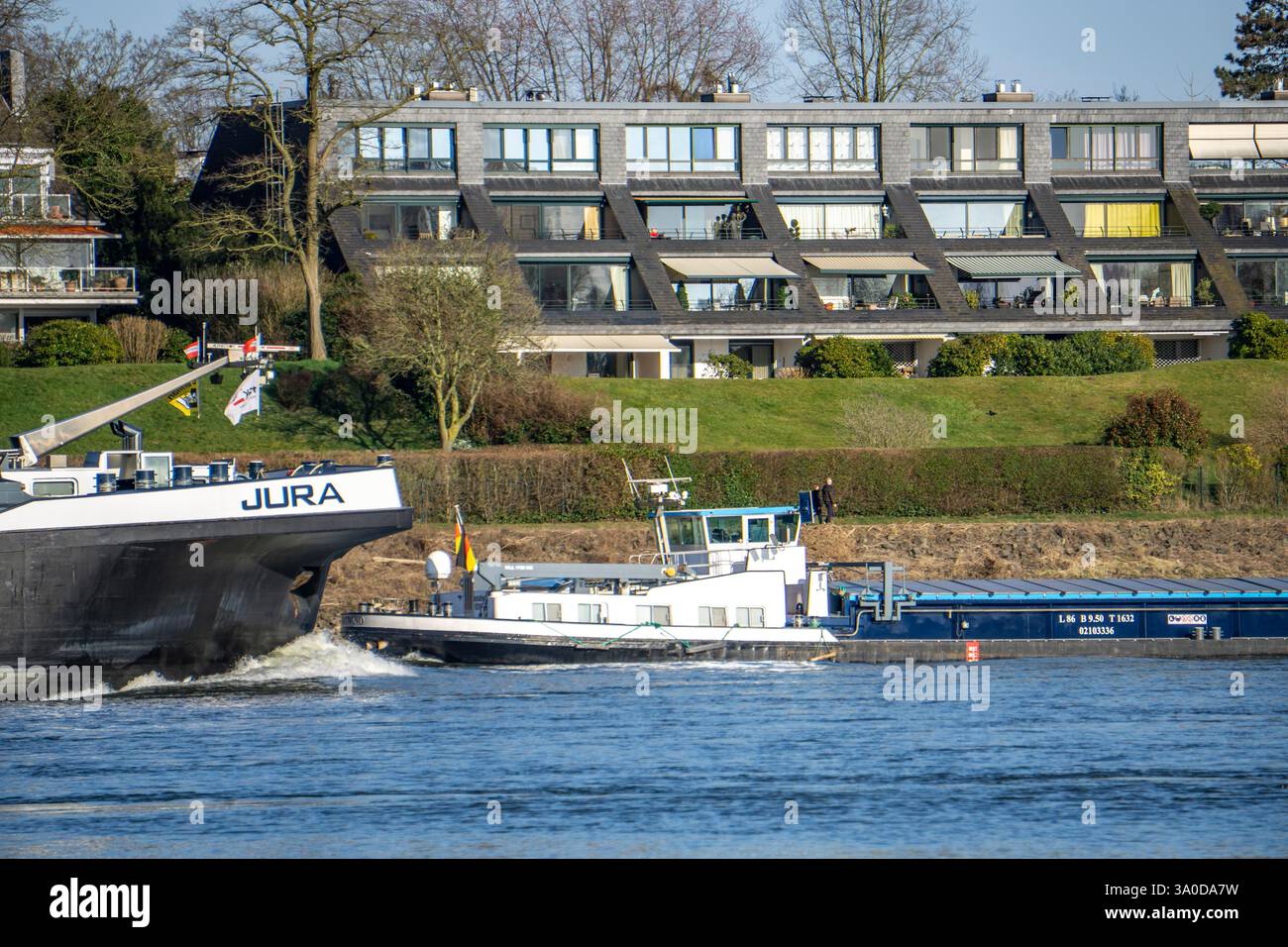 Cargo sur le Rhin près de Düsseldorf-Bockum, villas sur les rives du Rhin, le quartier dans le 5ème arrondissement est l'un des résidences les plus chères Banque D'Images