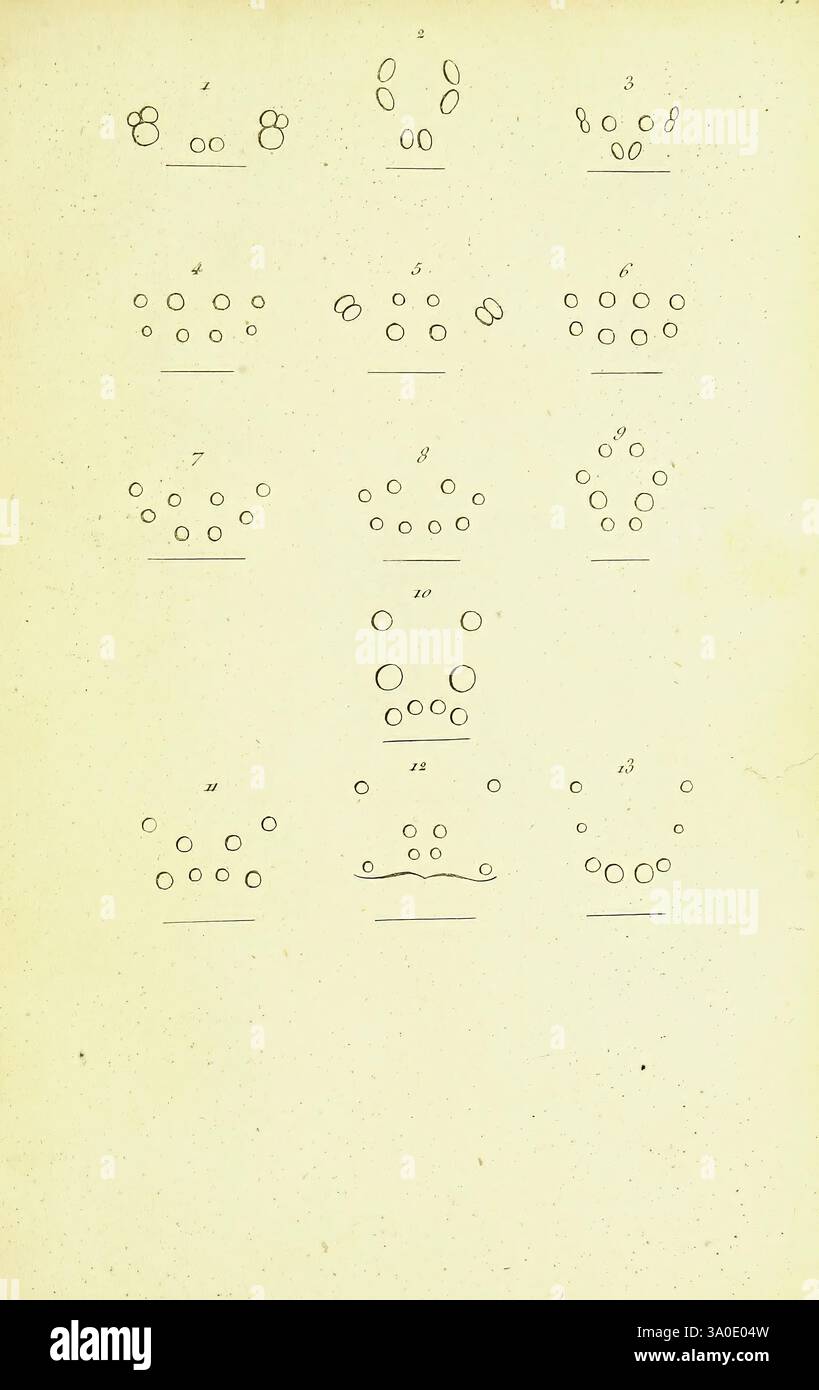 Genera crustaceorum et insectorum secundum ordinem naturalem in familias dispose, Parisiis, A. Koenig, 1806-09, crustacés, entomologie, l'illustration montre une série de formes abstraites et circulaires disposées dans diverses configurations sur plusieurs rangées. Chaque entrée présente une composition différente, avec des regroupements de cercles, certains isolés tandis que d'autres se regroupent. Les conceptions semblent explorer des motifs, suggérant peut-être un thème de symétrie ou de développement séquentiel. L'arrangement comporte une variété de groupements qui pourraient représenter des concepts de mathématiques, d'art ou de design, enc Banque D'Images