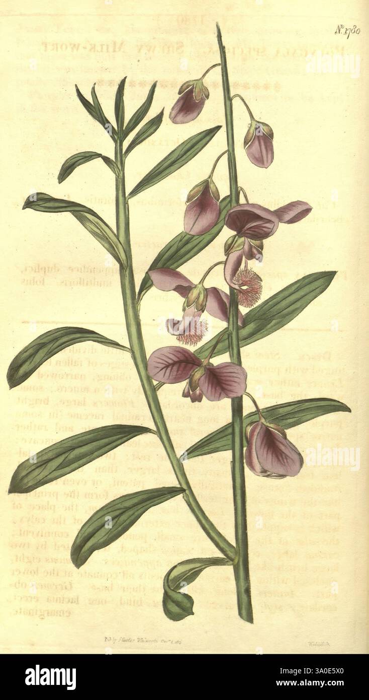 Catalogue Bibliothèque Albert G Burrage 1930 - Botanique, Orchidées, 1ère Édition, Boston
