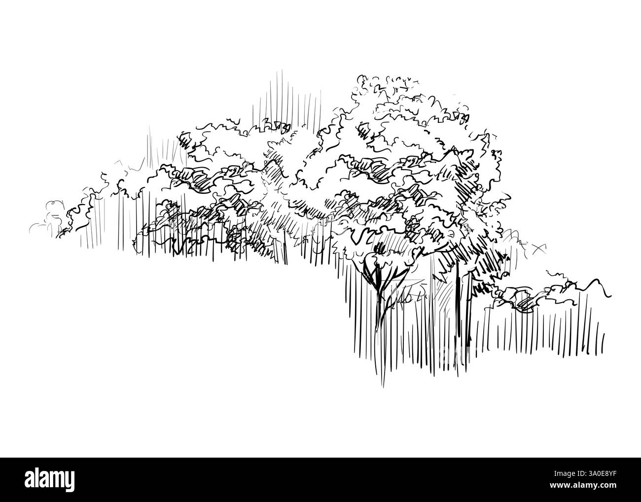 Dessin à la main paysage rural bosquet avec des arbres. Croquis monochrome. Illustration vectorielle isolée sur fond blanc. Elément de conception. Pour les impressions, design Illustration de Vecteur