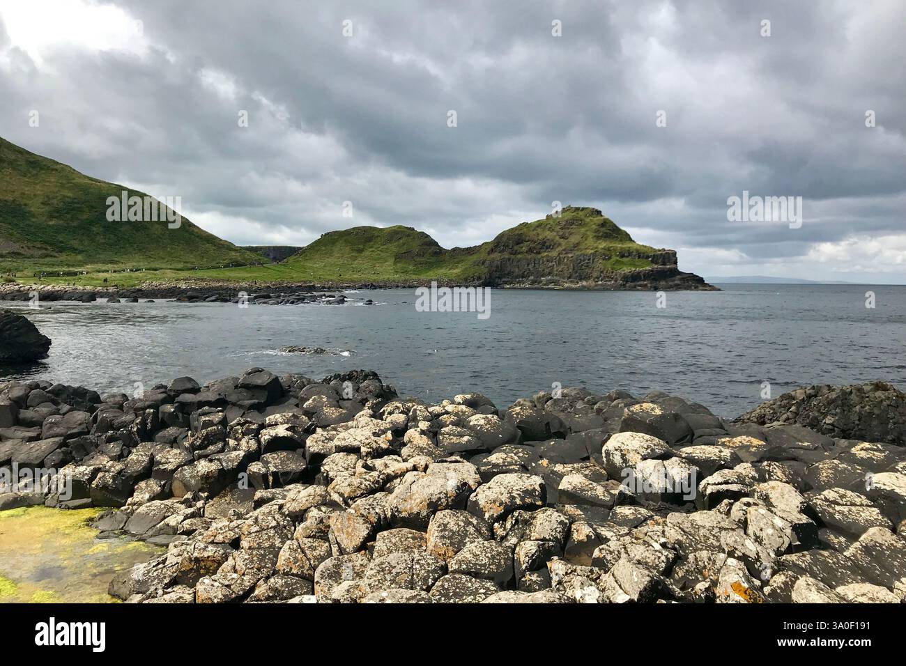 La spectaculaire partie côtière de la chaussée des géants d'Irlande du Nord avec sa verdure, ses falaises et ses formations rocheuses. Banque D'Images
