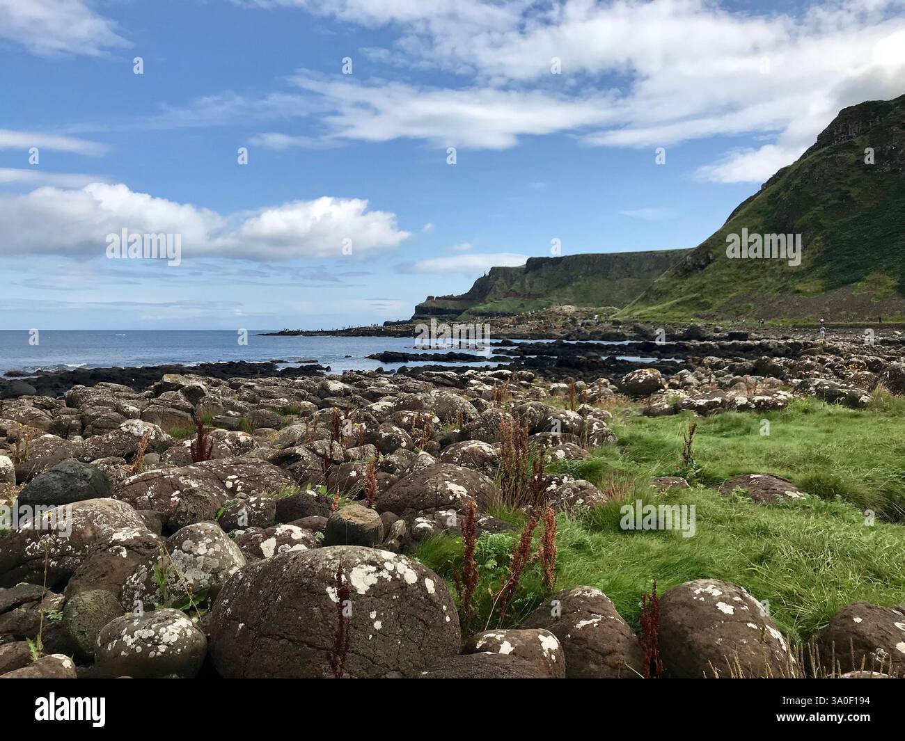 La spectaculaire partie côtière de la chaussée des géants d'Irlande du Nord avec sa verdure, ses falaises et ses formations rocheuses. Banque D'Images