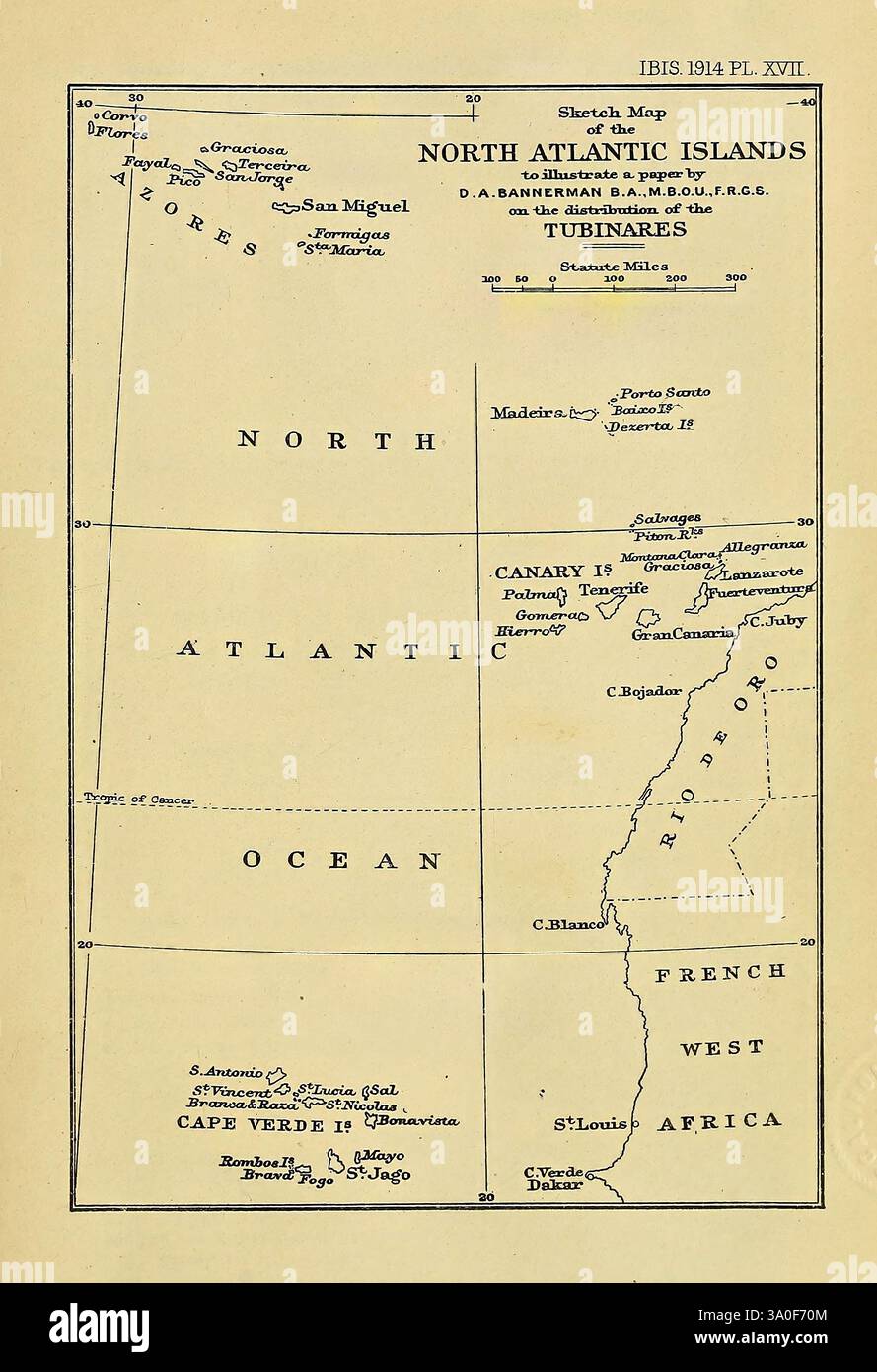 Ibis, Londres, a publié, pour l'Union britannique des ornithologues, par Academic Press, Ornithology, Periodicals, Un croquis détaillé représentant les îles de l'Atlantique Nord, mettant en évidence diverses caractéristiques géographiques et localités. La carte comprend des points importants tels que les Açores, Madère et les îles Canaries, ainsi que des sites remarquables comme le Cap-Vert. Les zones océaniques sont étiquetées, indiquant l'étendue de l'océan Atlantique, tandis que les repères directionnels pour le Nord, l'Ouest et d'autres points cardinaux guident la navigation. La carte est clairement annotée, montrant la disposition régionale et le positionnement de ceux-ci Banque D'Images Ibis, Londres, a publié, pour l'Union britannique des ornithologues, par Academic Press, Ornithology, Periodicals, Un croquis détaillé représentant les îles de l'Atlantique Nord, mettant en évidence diverses caractéristiques géographiques et localités. La carte comprend des points importants tels que les Açores, Madère et les îles Canaries, ainsi que des sites remarquables comme le Cap-Vert. Les zones océaniques sont étiquetées, indiquant l'étendue de l'océan Atlantique, tandis que les repères directionnels pour le Nord, l'Ouest et d'autres points cardinaux guident la navigation. La carte est clairement annotée, montrant la disposition régionale et le positionnement de ceux-ci Banque D'Images