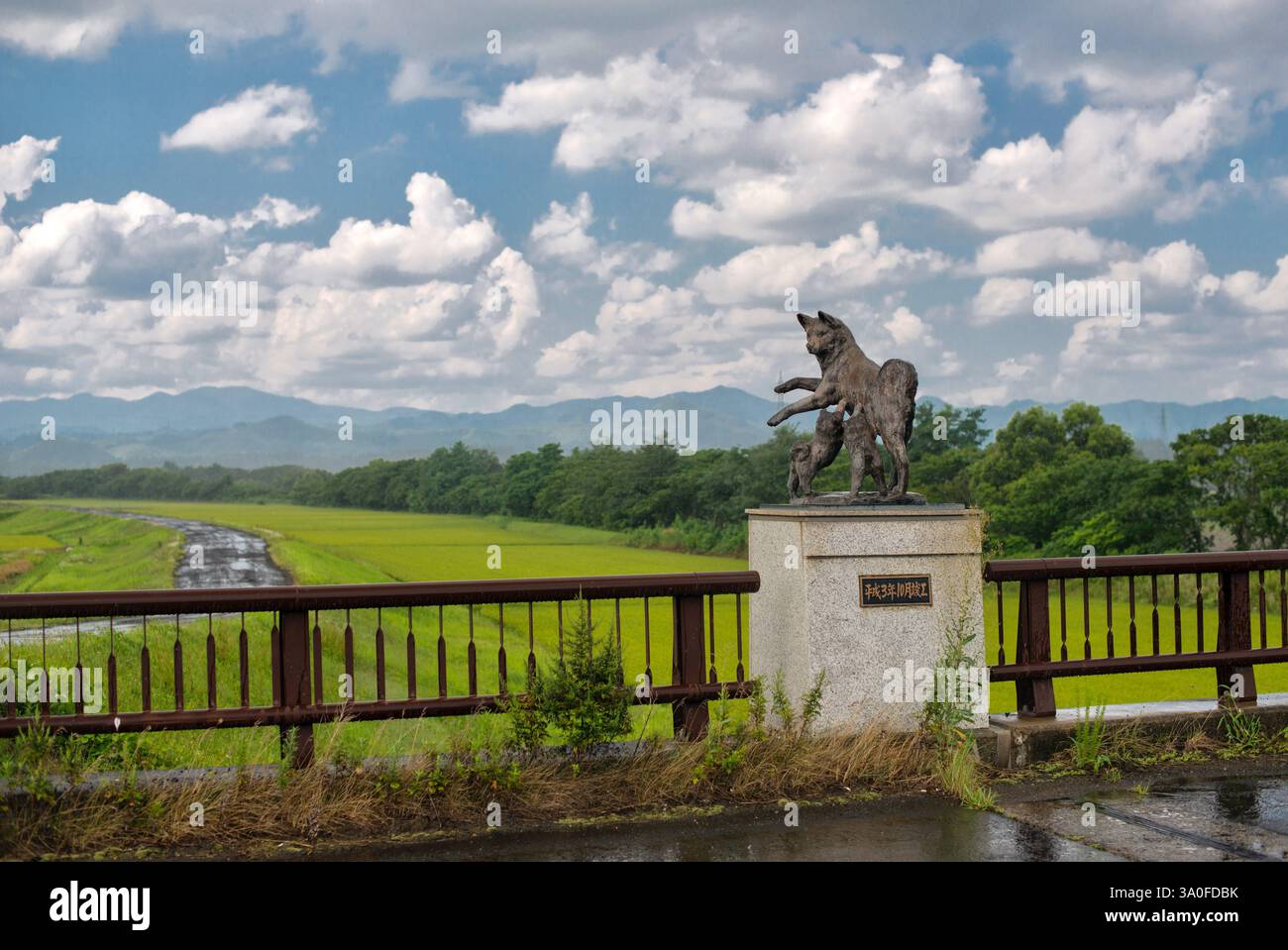 La photo montre l'une des statues dédiées à l'Akita Inu dans la ville d'Odate, préfecture d'Akita au Japon. Le chien était autrefois connu sous le nom d'Odate Inu. Photogra Banque D'Images