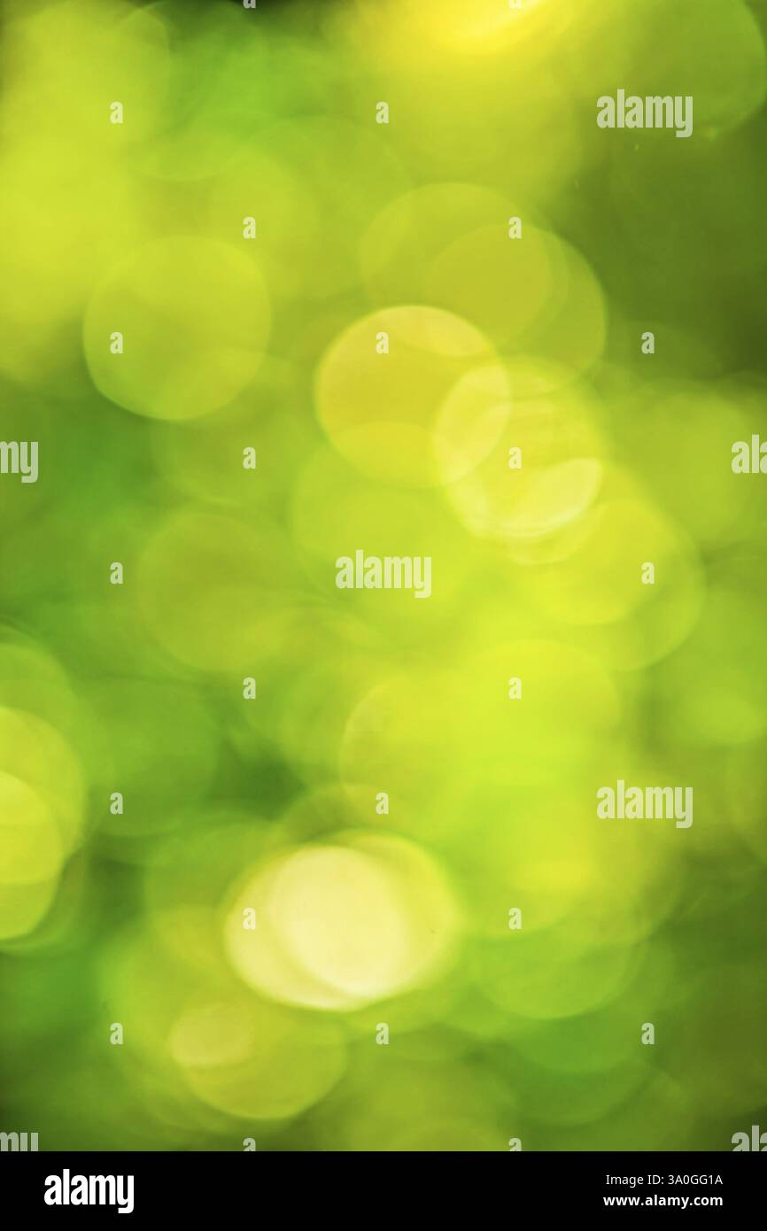 Arrière-plan artistique. bokeh vert de feuilles floues floues floues avec une éruption de soleil Banque D'Images