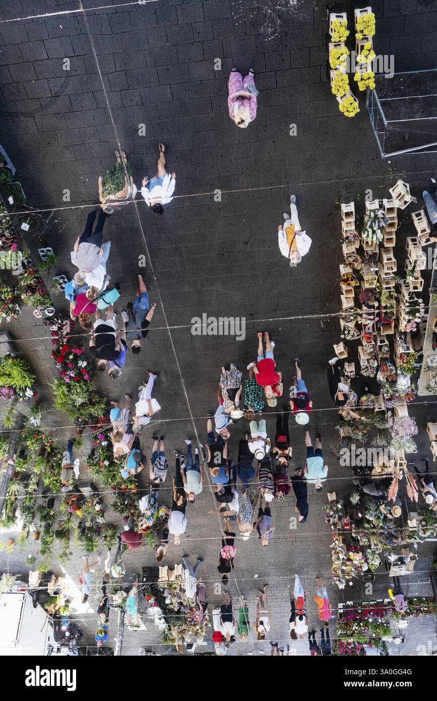 Plafond miroir à la gare routière, Vieux Port, Marseille, France, Europe Banque D'Images