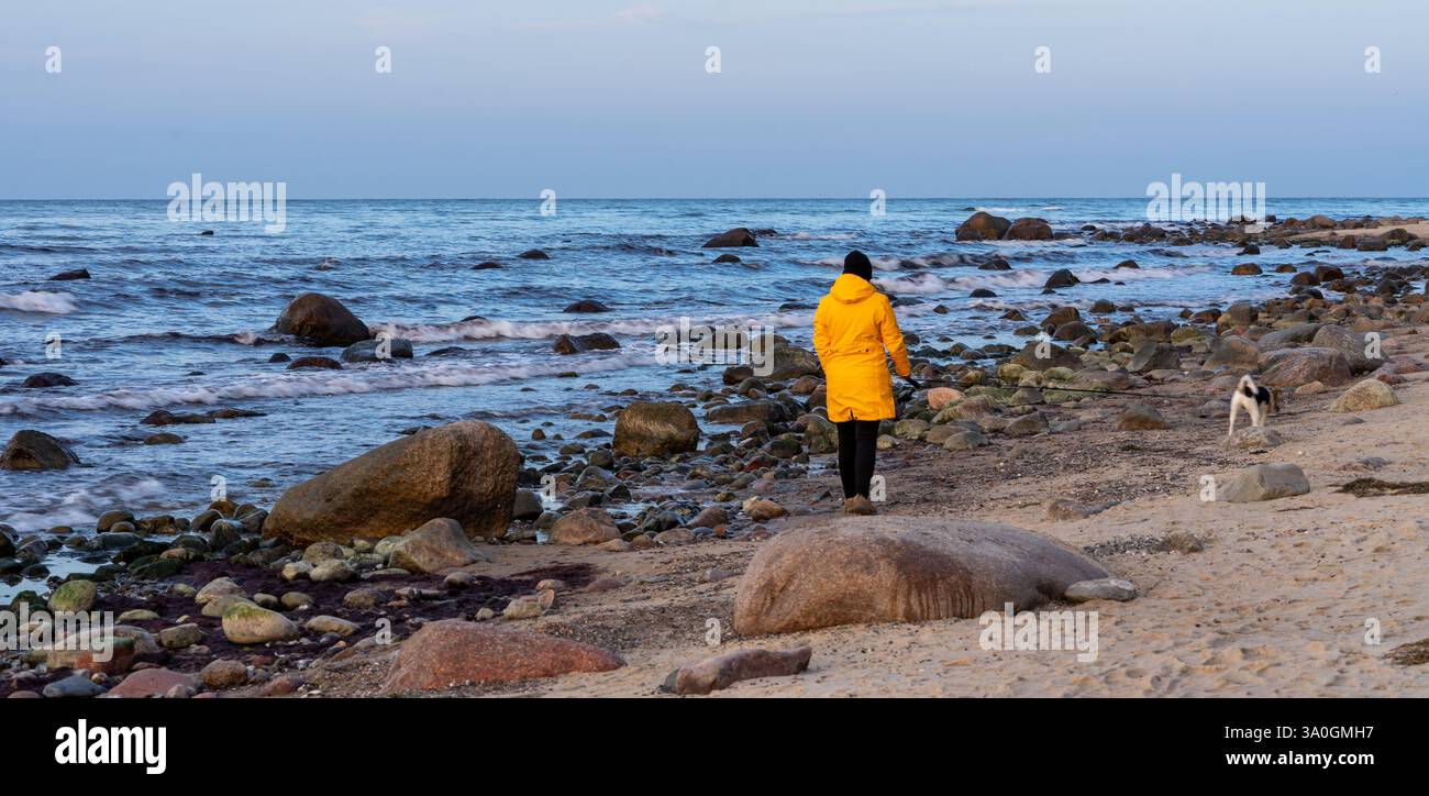 Panorama femme portant une veste de pluie jaune marche avec son chien sur la plage de Rügen sur la mer Baltique Banque D'Images