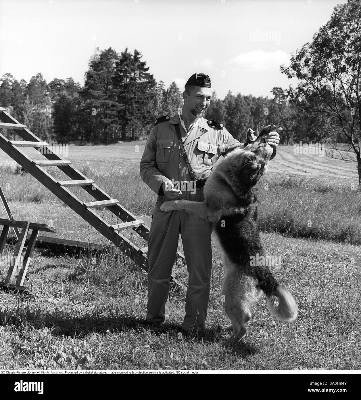 Policier avec un chien de travail. Un policier et son chien de berger allemand sur un cours de formation et montrer de l'affection à son maître. Suède 1965 Banque D'Images