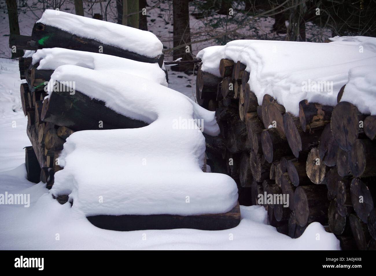 Bois abattu ou souche d'arbre sous la neige, couper le bois naturel Banque D'Images