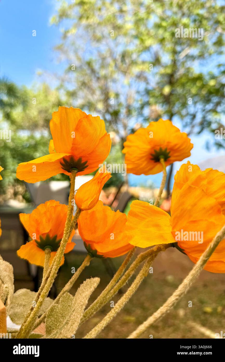 Fleurs jaunes vives dans un jardin luxuriant Un gros plan de fleurs jaunes vibrantes sur un fond naturel flou d'arbres et de verdure. Lumière du soleil élevée - Image de stock capturée avec un smartphone