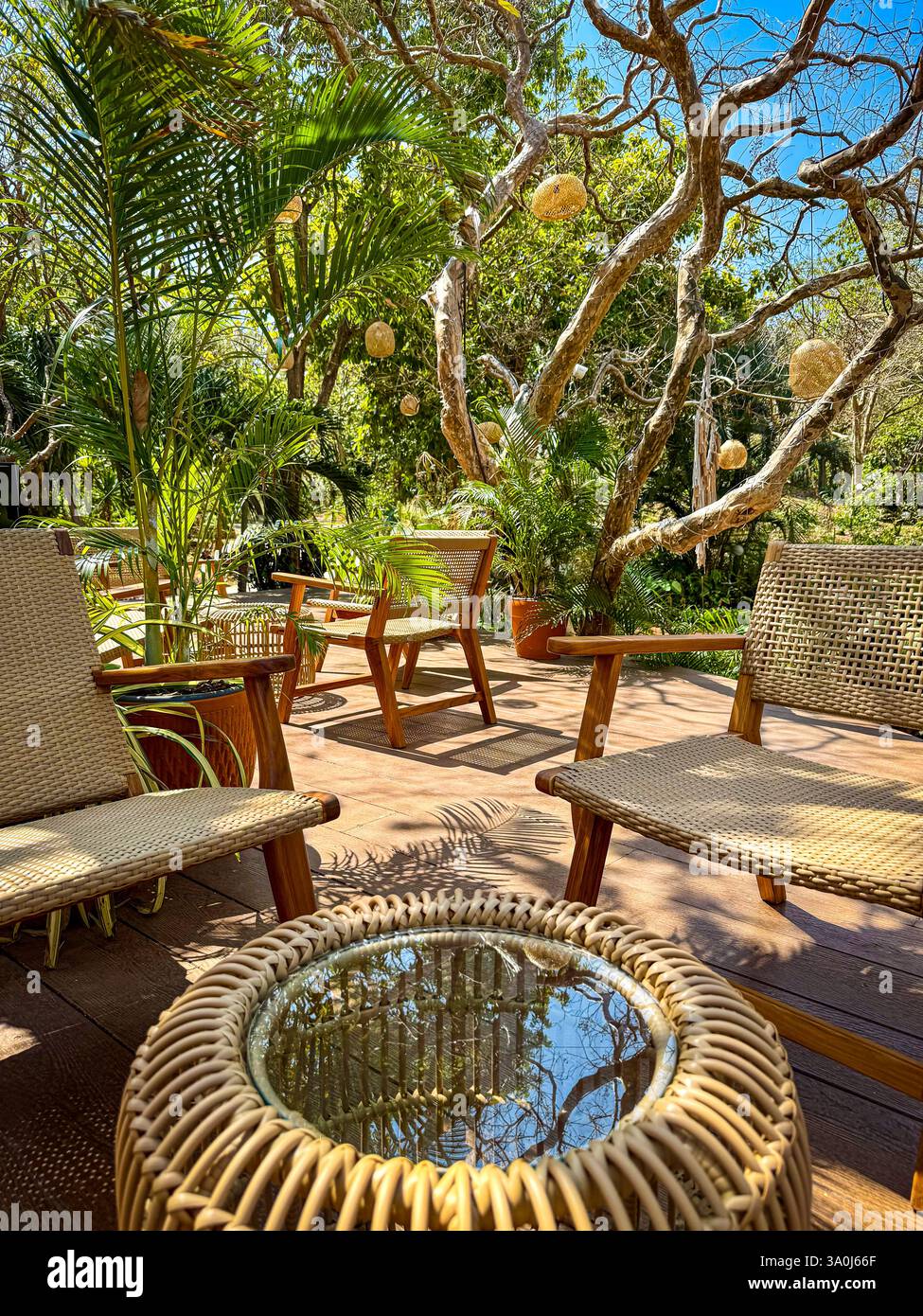 Salon extérieur confortable dans un jardin tropical Un coin salon extérieur magnifiquement aménagé avec des meubles en rotin entouré d'une végétation luxuriante. Filtre de lumière du soleil - Image de stock capturée avec un smartphone