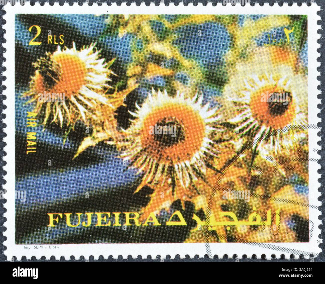 Timbre-poste oblitéré imprimé par Fujairah (Fujeira), qui montre des fleurs, vers 1972. Banque D'Images