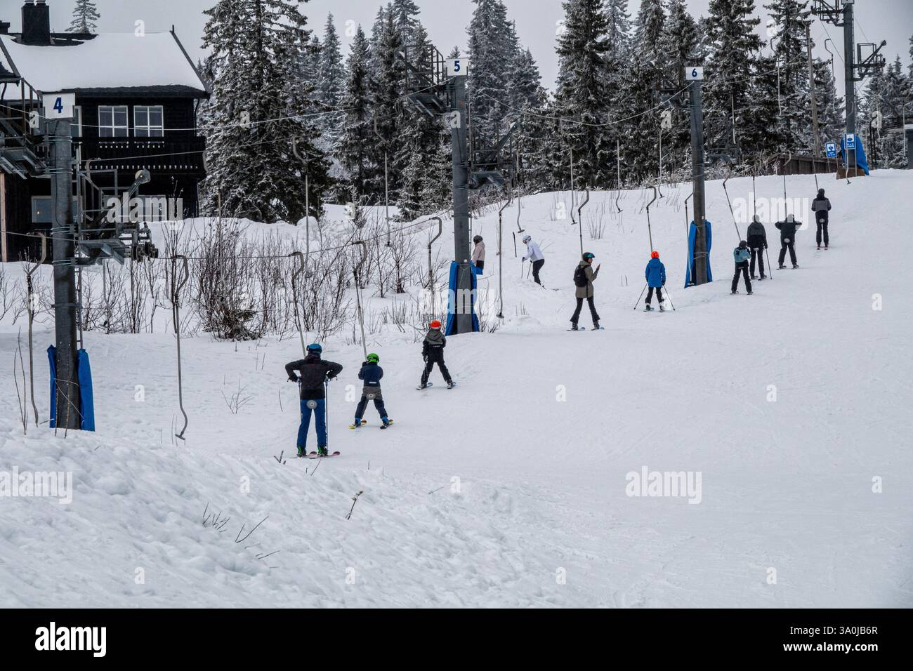 Les enfants et les adultes sont tirés vers le haut par un bouton élévateur. Équitation sur un téléski, vue arrière des skieurs. Trysil, Norvège, 27 février 2025. Banque D'Images
