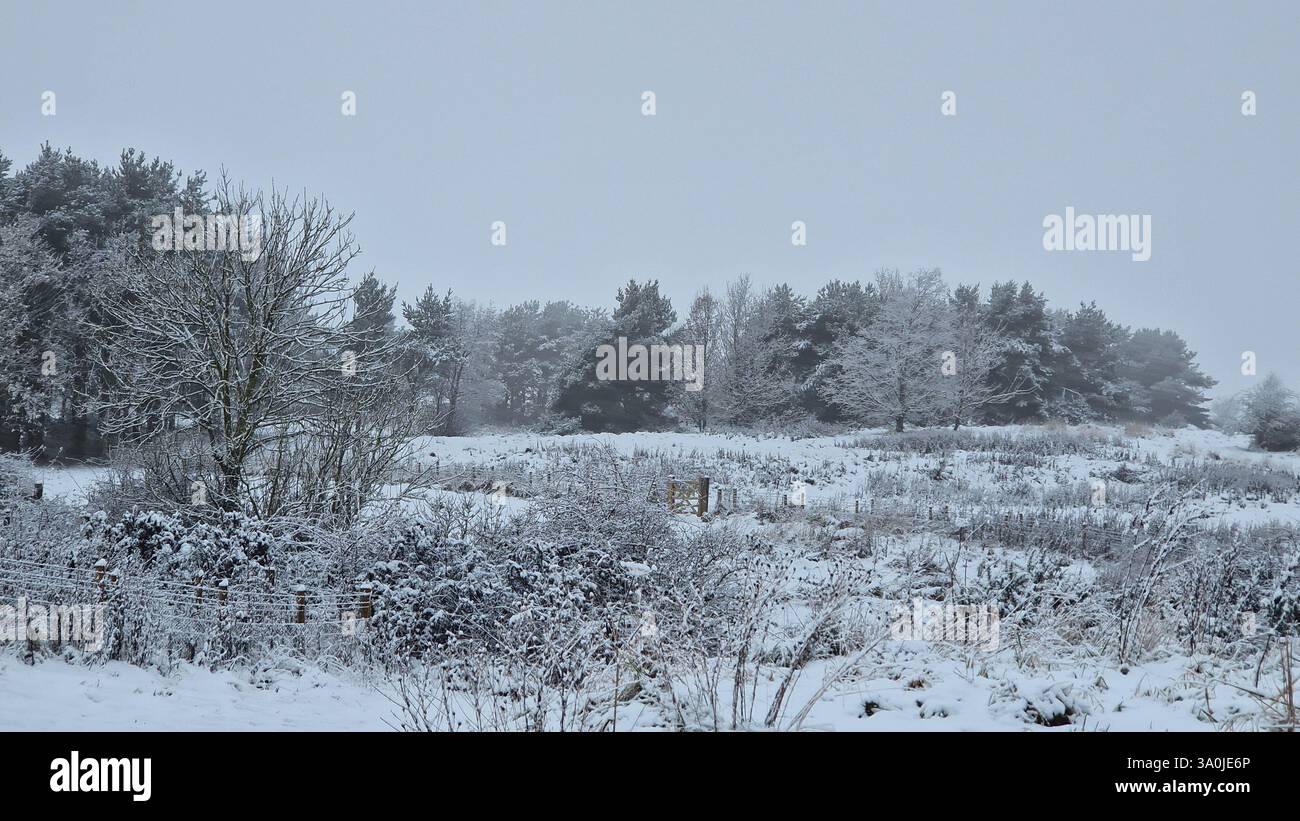 Winter Wonderland, comté de Durham - Image de stock capturée avec un smartphone